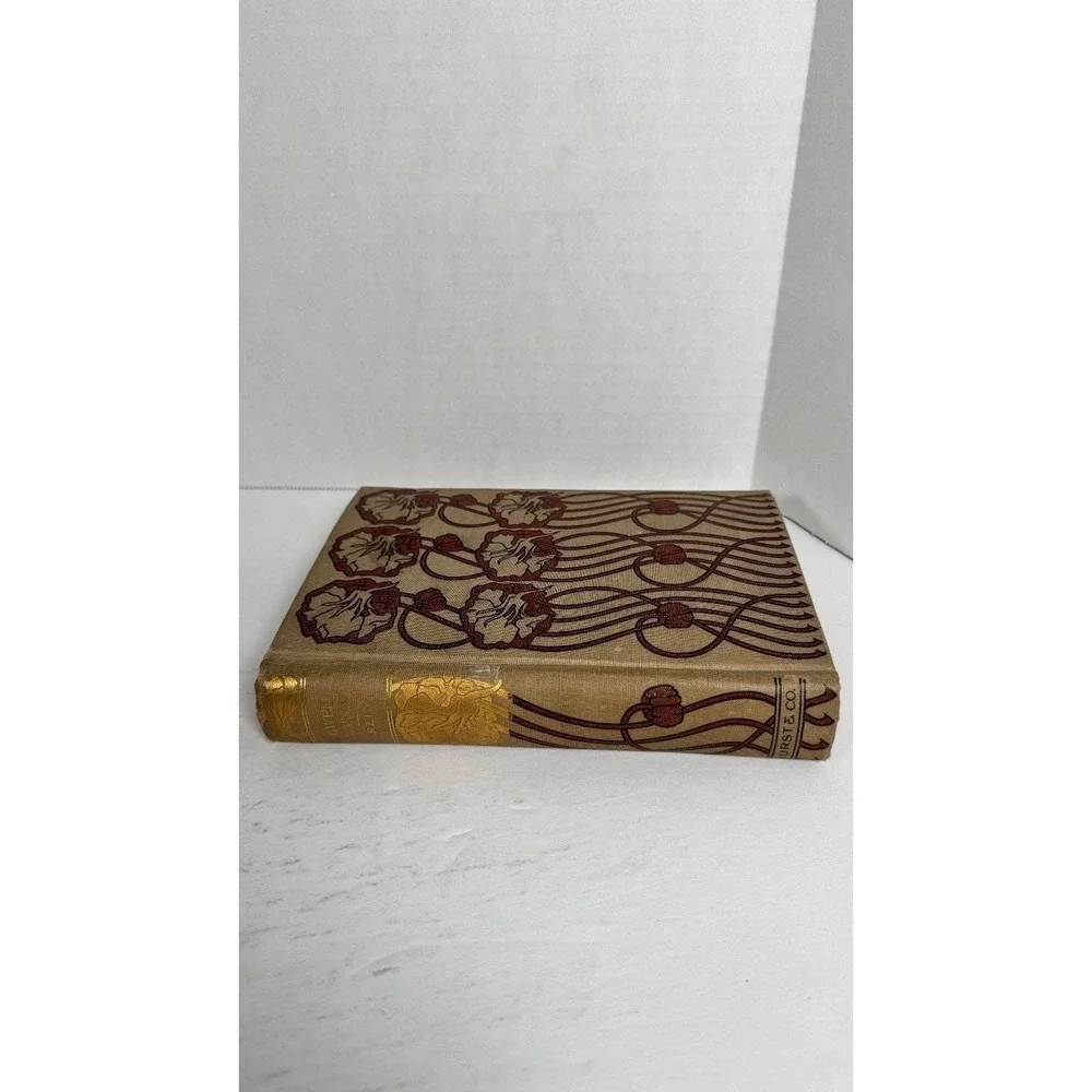 Gwen Wynn: A Romance of Wye Mayne Reid Hurst & Co. Decorative Binding